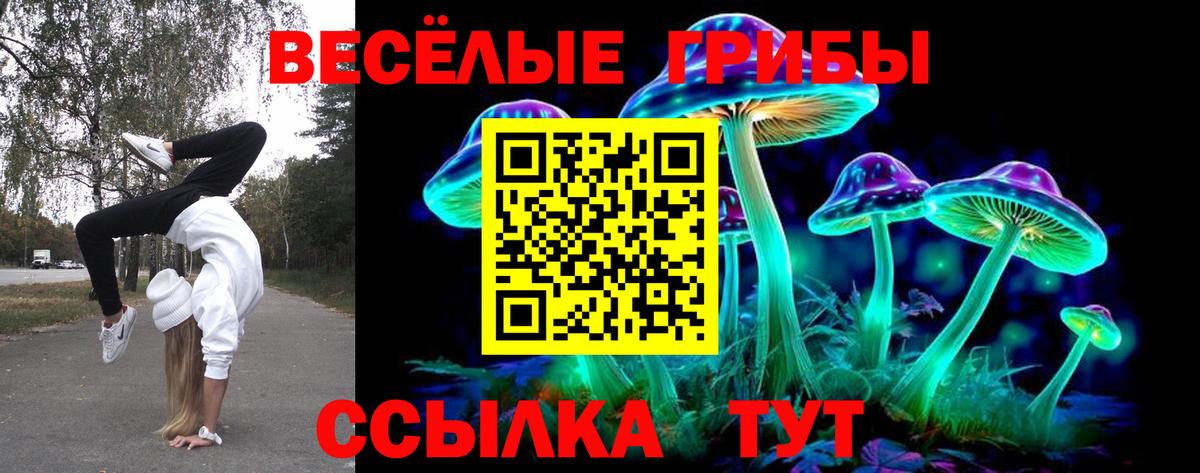 Тосно  Галлюциногенные грибы ЛСД  Вход с VPN 