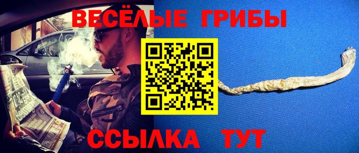 Галлюциногенные грибы прущие грибы Тосно